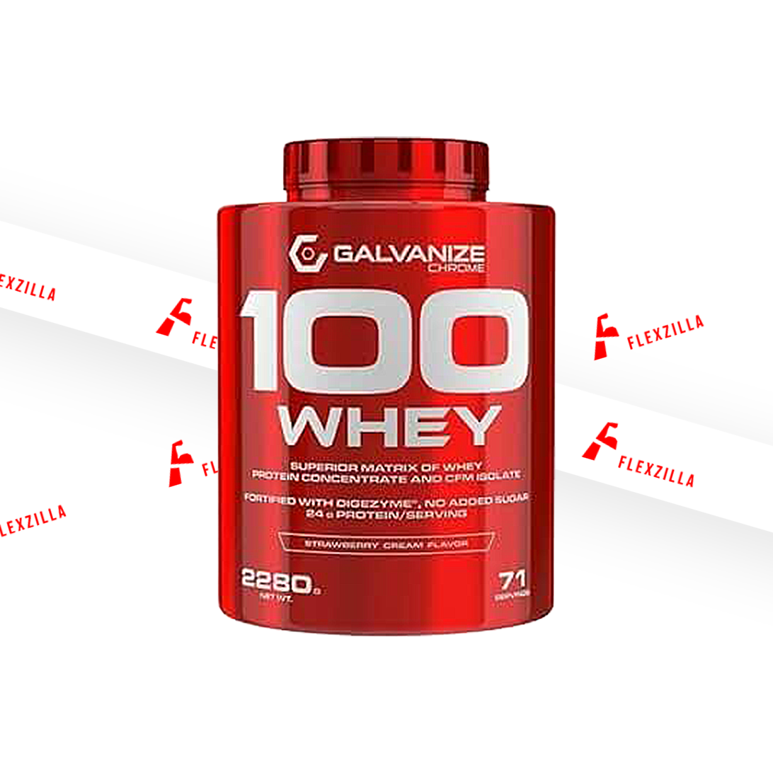 Galvanize Nutrition 100 Whey Protein